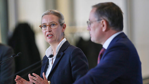 Die AfD-Chefs Alice Weidel und Tino Chrupalla