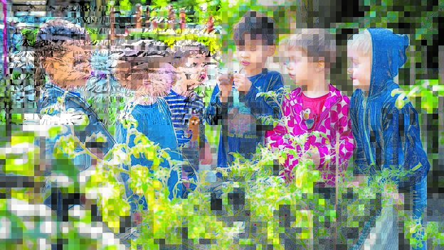 Kindergarten