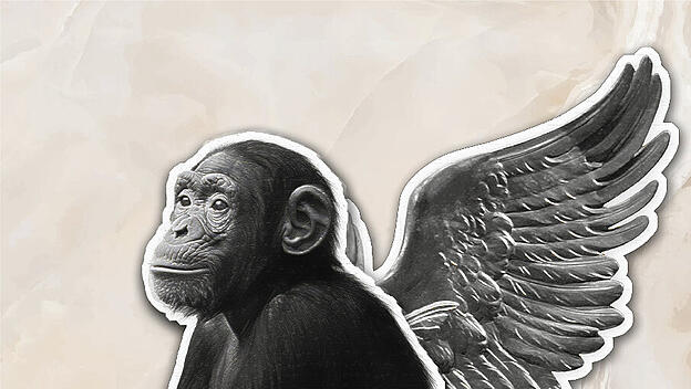 Affe-Engel-Collage