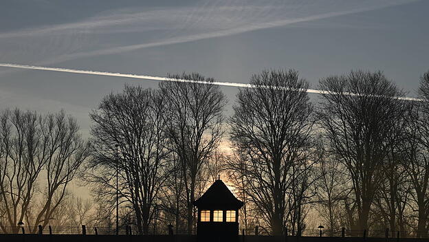 Auschwitz-Befreiung jährt sich zum 80. Mal