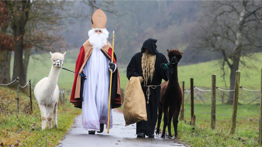 KINA - Mit Alpakas zur Nikolausfeier