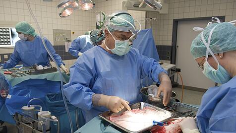 Transplantation von menschlichen Organen