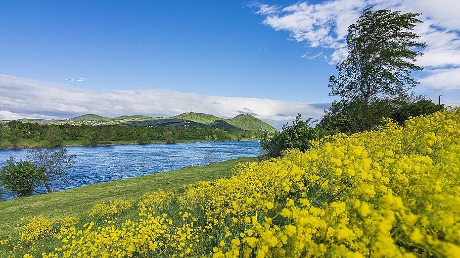 Idyllischer Blick auf den Wiener Kahlenberg