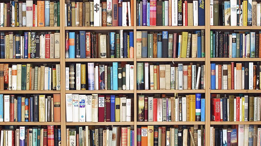 Volles Bücherregal