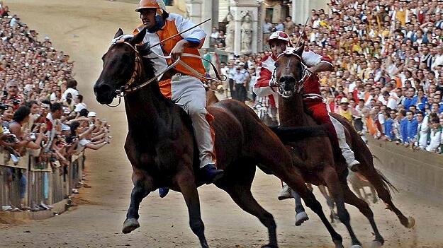 Traditionsreichstes Pferderennen der Welt - Palio von Siena