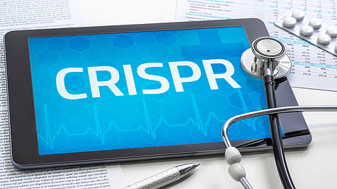 Symbolbild Gentherapie: Schriftzug CRISPR auf Tablet
