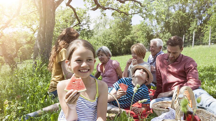 Familienpicknick