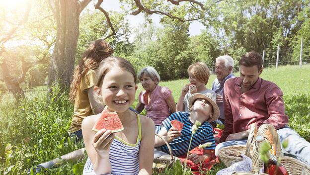 Familienpicknick