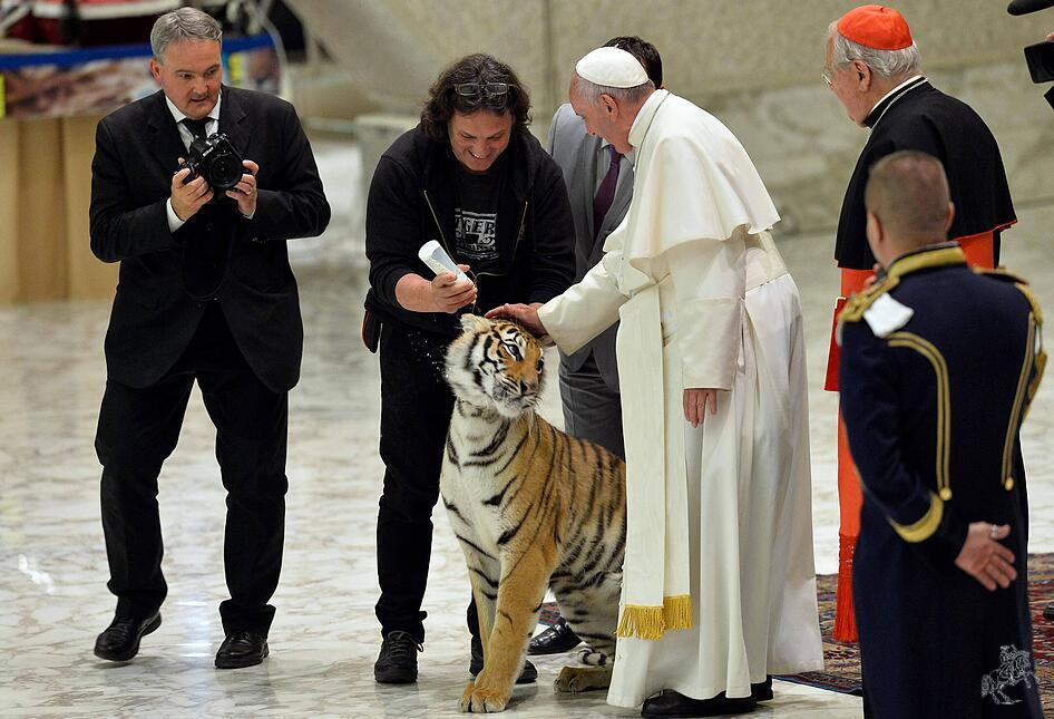 Papst Franziskus bei Zirkusaudienz