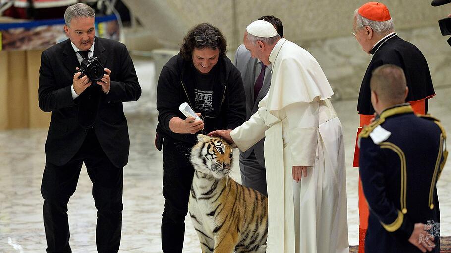 Papst Franziskus bei Zirkusaudienz