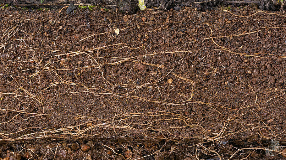 In den neuen Gro&szlig;pfarreien ger&auml;t das kleine ehrenamtliche Engagement schnell aus dem Blick - der Wurzel christlichen Gemeindelebens.