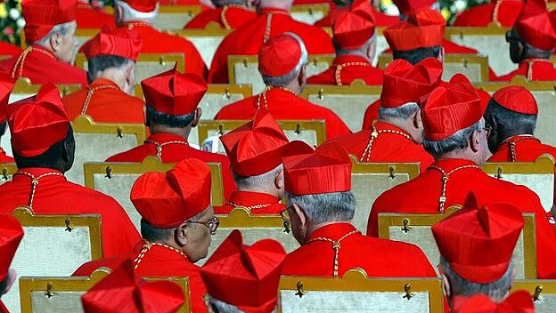 Kardinäle zur Papstwahl nach Rom gerufen