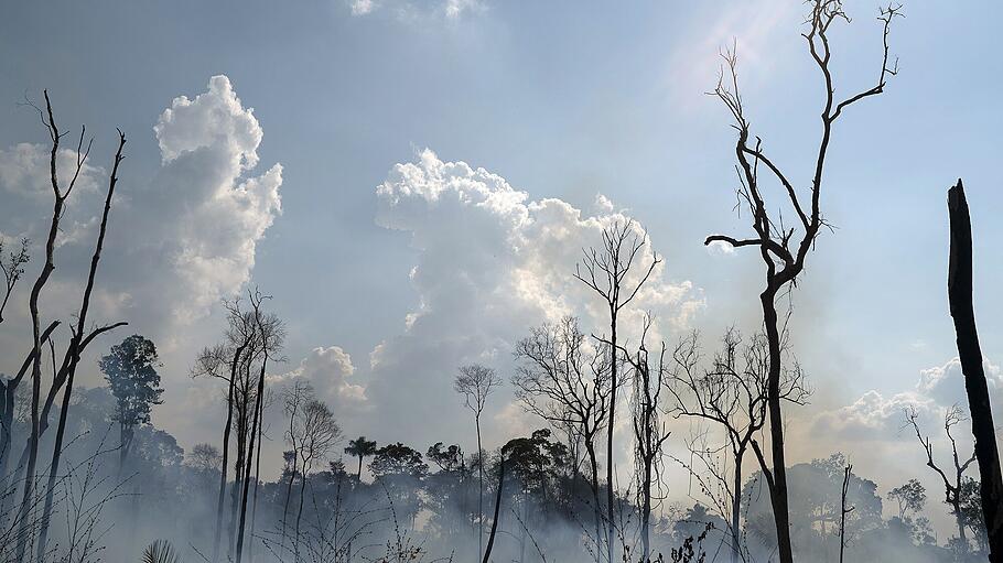 Brände im Amazonasgebiet
