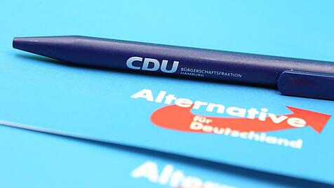 CDU und AfD