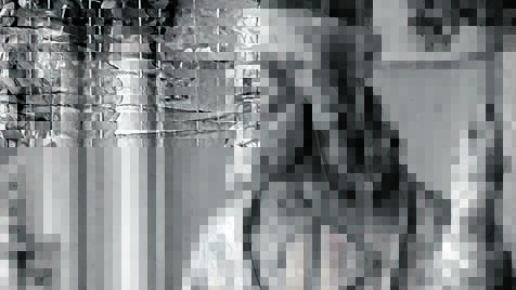 Heiliger Prophet Micha