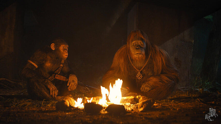 Neuer Hollywood-Film "Kingdom of the Planet of the Apes "