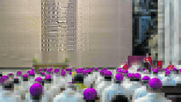 Weltweiter synodaler Prozess