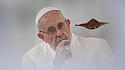 Papst Franziskus zum Fall McCarrick