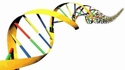 Darstellung der menschlichen DNA