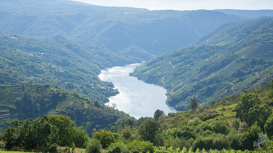 Ribeira Sacra