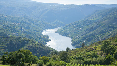Ribeira Sacra