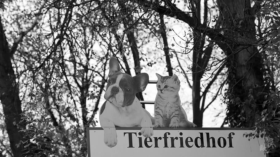 Ein Tierfriedhof im Wald