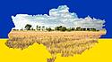 Russland stiehlt ukrainisches Getreide