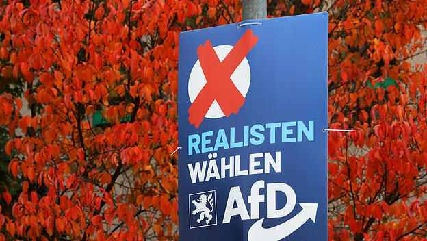 Wahlplakat der AfD