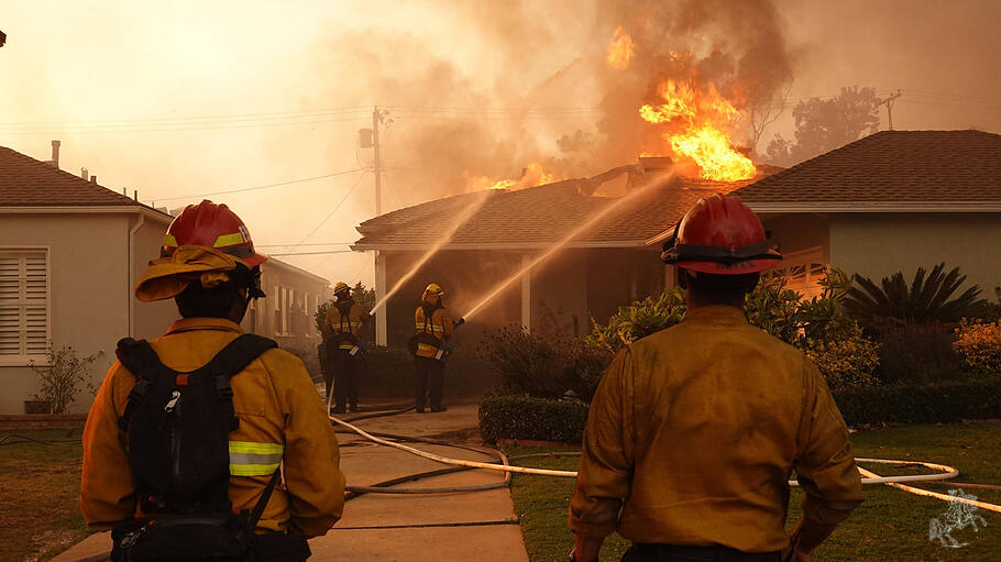 Brand in Pacific Palisades