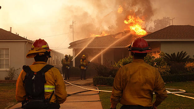 Brand in Pacific Palisades