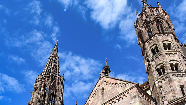 Freiburger Münster
