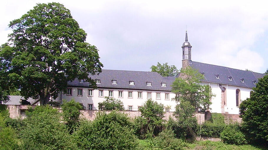 Die Probleme des Heidelberger Stifts Neuburg