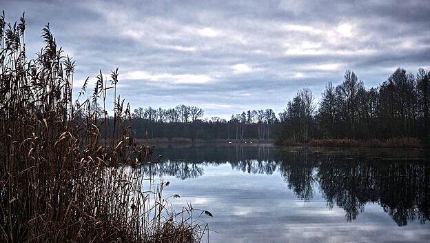 Sonnenaufgang am Waldsee Lauer in Markkleeberg bei Leipzig.