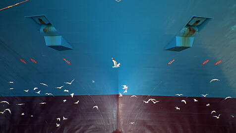 Containerfrachter im Hamburger Hafen