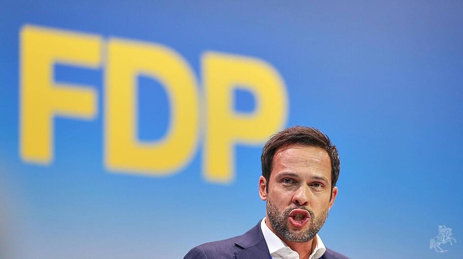 FDP-Generalsekret&auml;r Martin Hagen