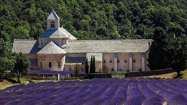 Kloster, Zisterzienserabtei Abbaye Notre-Dame de Sénanque, mit Lavendelfeld, Vaucluse, Provence, Provence-Alpes-Côte d?A