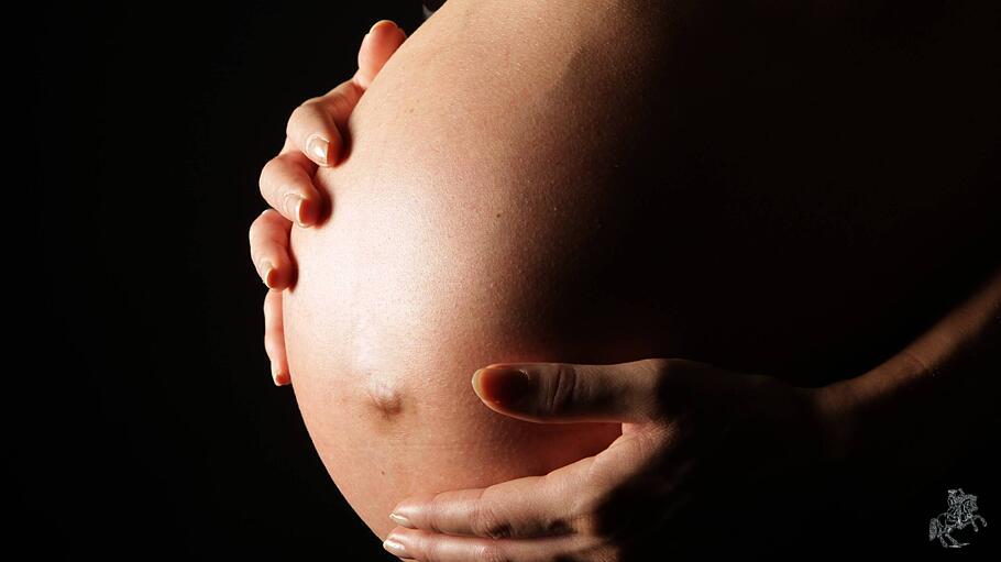 Babybauch