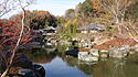 Garten Japan