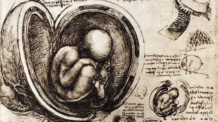 Zeichnung von Leonardo da Vinco, circa 1510