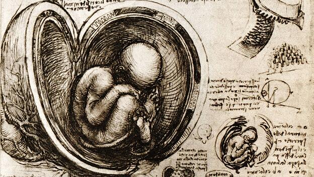 Zeichnung von Leonardo da Vinco, circa 1510