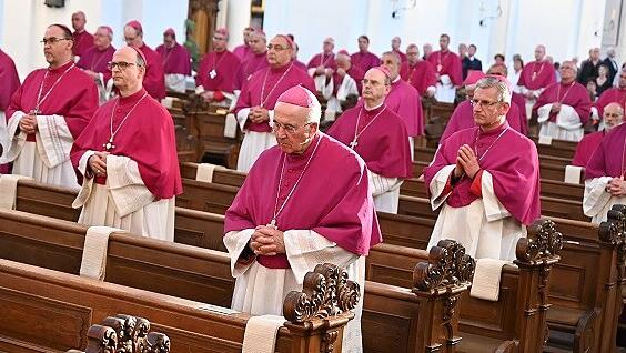 Einführung des Synodalen Rates würde den "kollektiven Rücktritt der Bischöfe" bedeuten