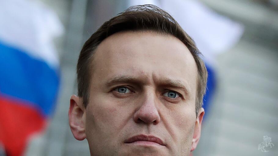 Alexej Nawalny, Russischer Oppositionspolitiker