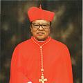 Ignatius Suharyo Hardjoatmodjo, Erzbischof von Jakarta