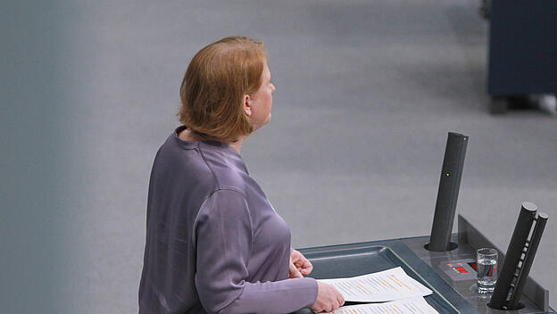 Bundesfamilienministerin Lisa Paus, Grüne