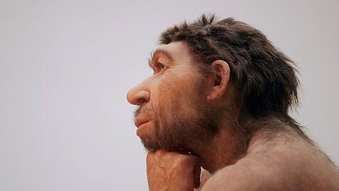Neandertaler
