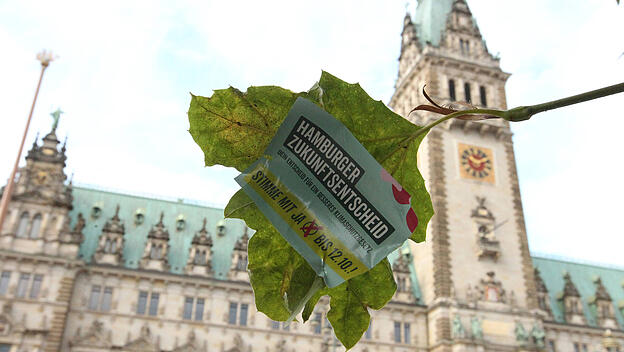 Auf einem Blatt eines Astes eines Baumes vor dem Hamburger Rathaus klebt ein Aufkleber