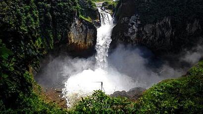 Brasilianische Regenwald ist bedroht