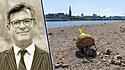 Der Rheinpegel in Düsseldorf hat seinen historisch niedrigsten Tiefstand von 23 Zentimetern erreicht
