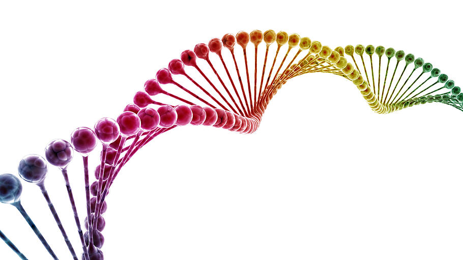 Multi color dna model isolated on white background