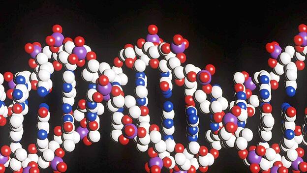 50 Jahren DNA - Doppelhelix